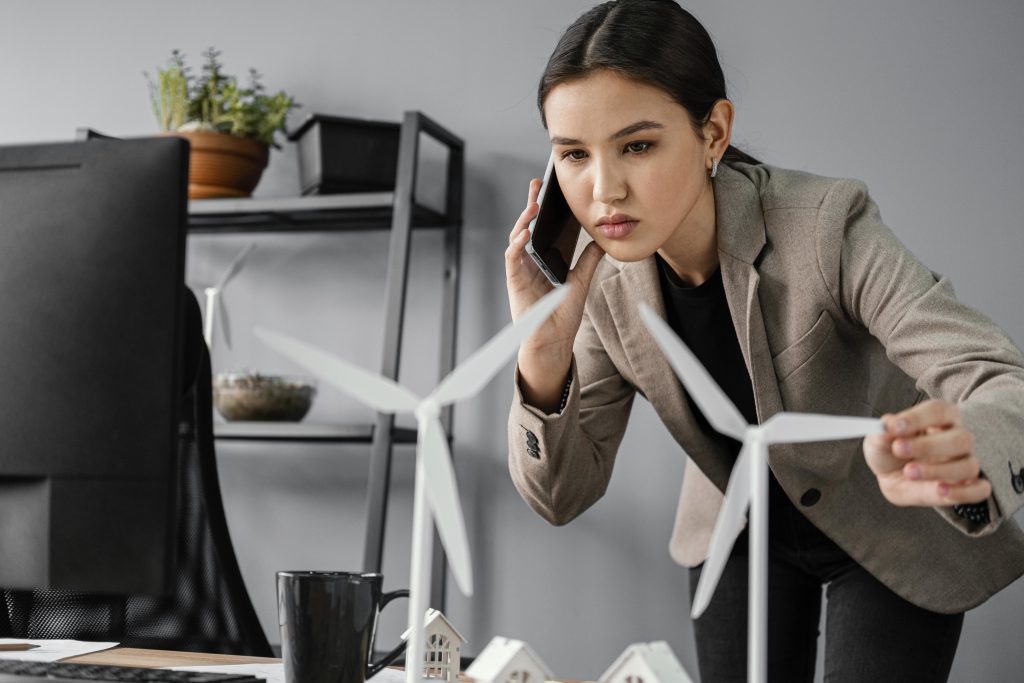 Ignoring Energy Efficiency